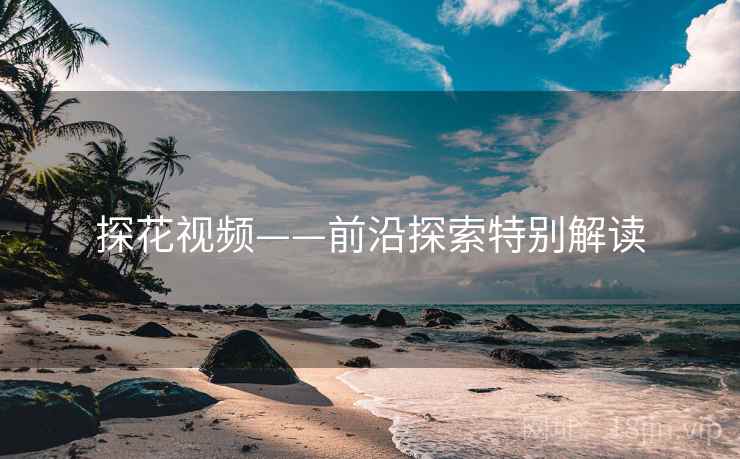 探花视频——前沿探索特别解读