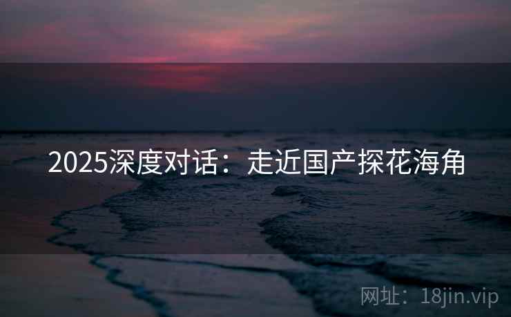 2025深度对话：走近国产探花海角