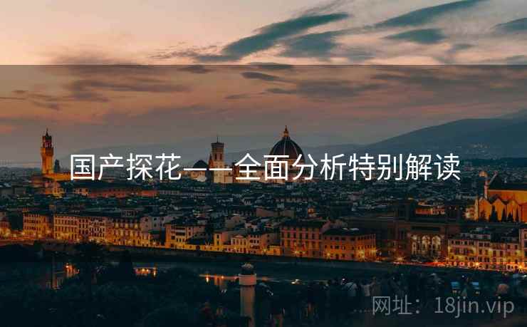 国产探花——全面分析特别解读