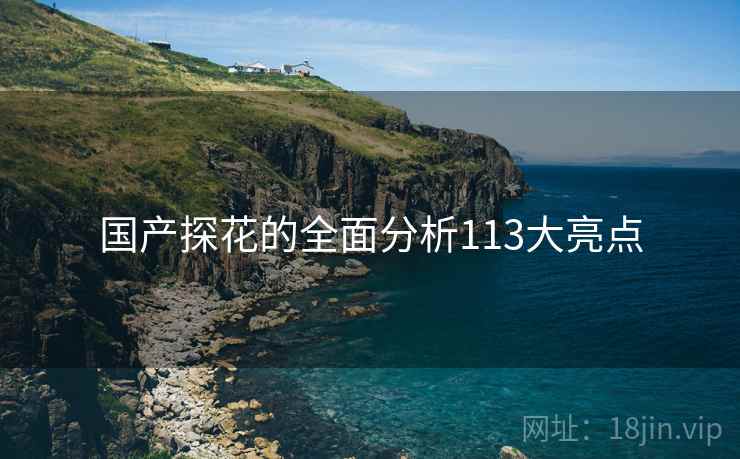 国产探花的全面分析113大亮点