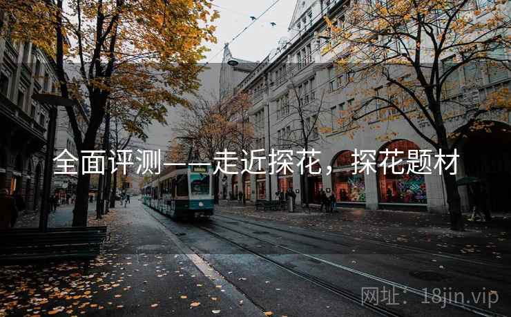 全面评测——走近探花，探花题材
