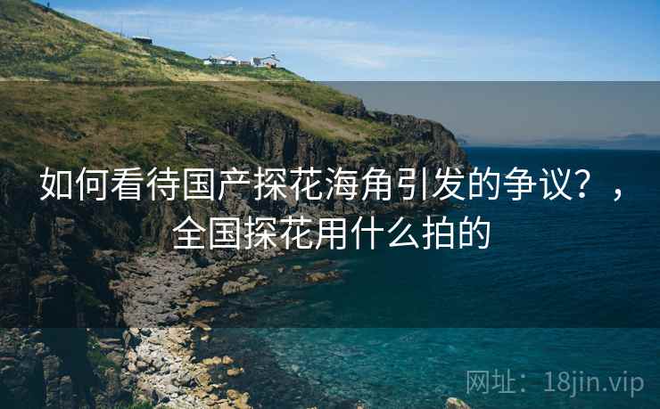 如何看待国产探花海角引发的争议？，全国探花用什么拍的