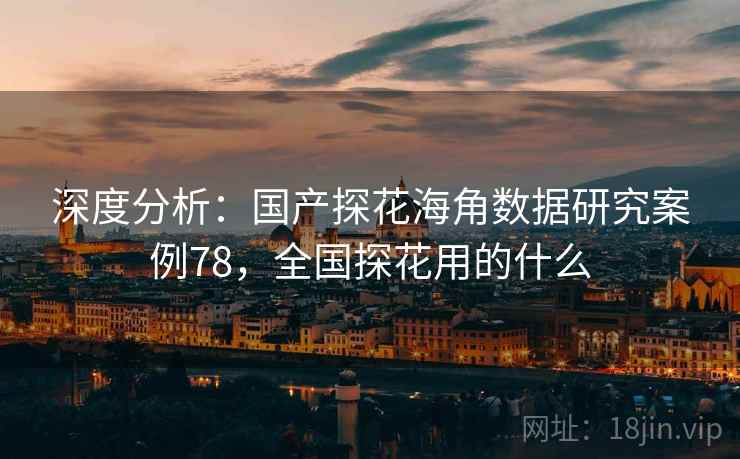 深度分析：国产探花海角数据研究案例78，全国探花用的什么
