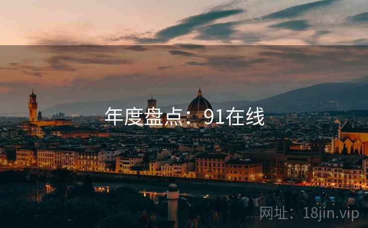 年度盘点：91在线