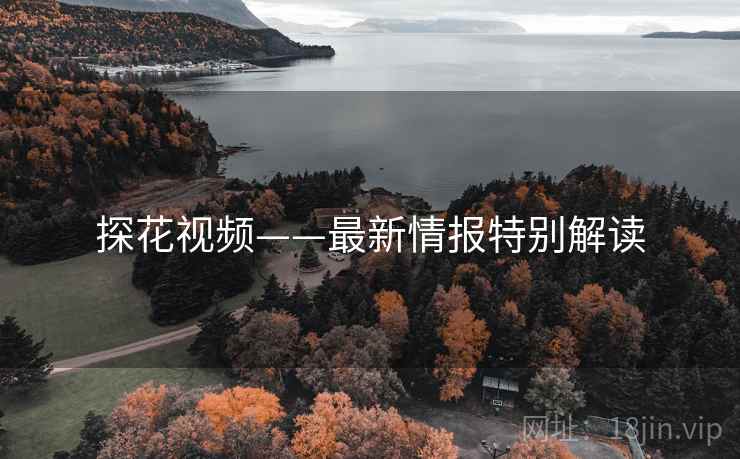 探花视频——最新情报特别解读