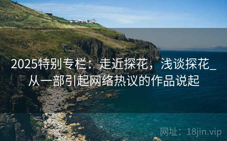 2025特别专栏：走近探花，浅谈探花_从一部引起网络热议的作品说起