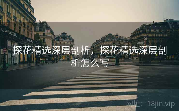 探花精选深层剖析，探花精选深层剖析怎么写