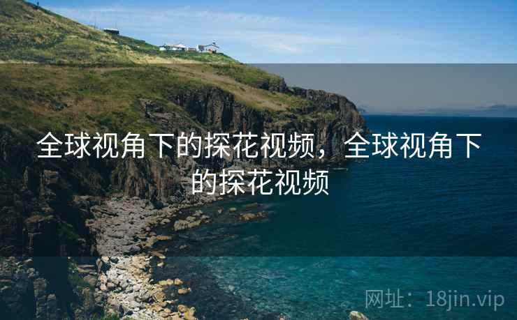 全球视角下的探花视频，全球视角下的探花视频