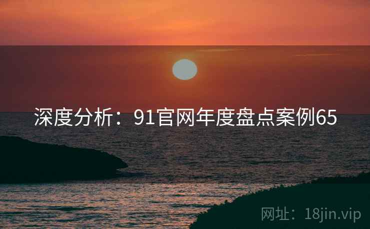 深度分析：91官网年度盘点案例65