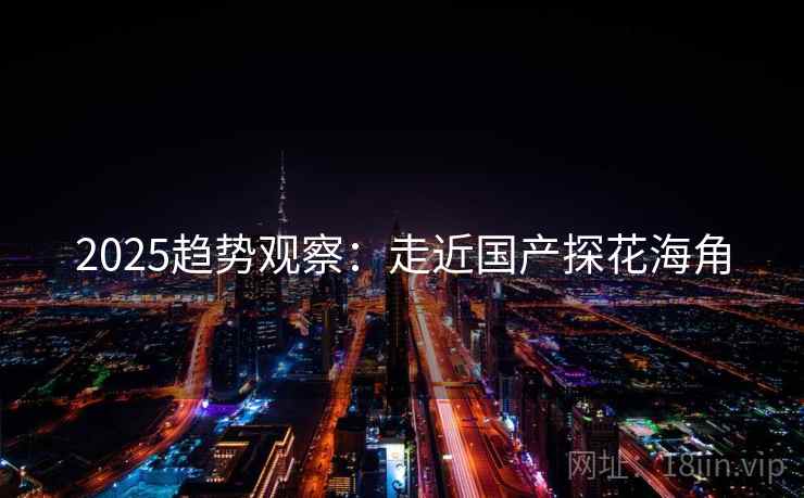 2025趋势观察：走近国产探花海角