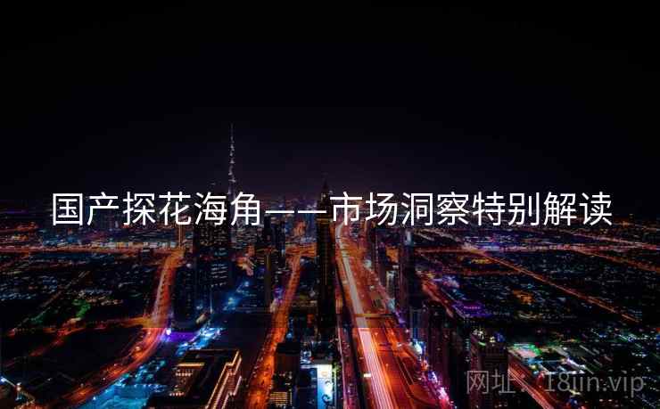 国产探花海角——市场洞察特别解读