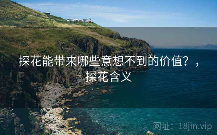 探花能带来哪些意想不到的价值？，探花含义
