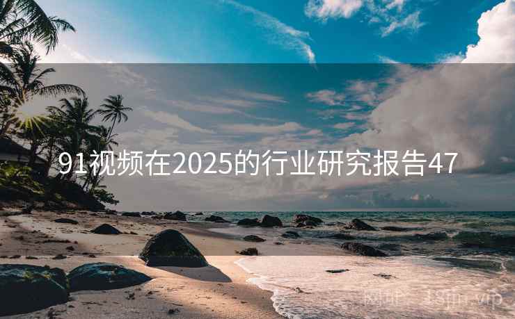 91视频在2025的行业研究报告47