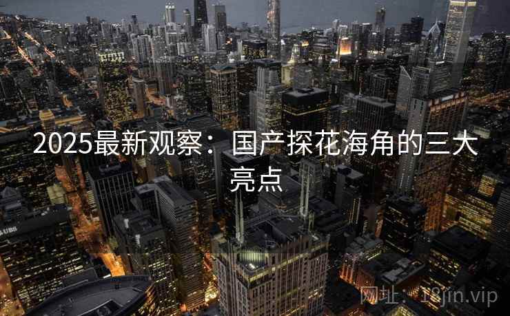 2025最新观察：国产探花海角的三大亮点